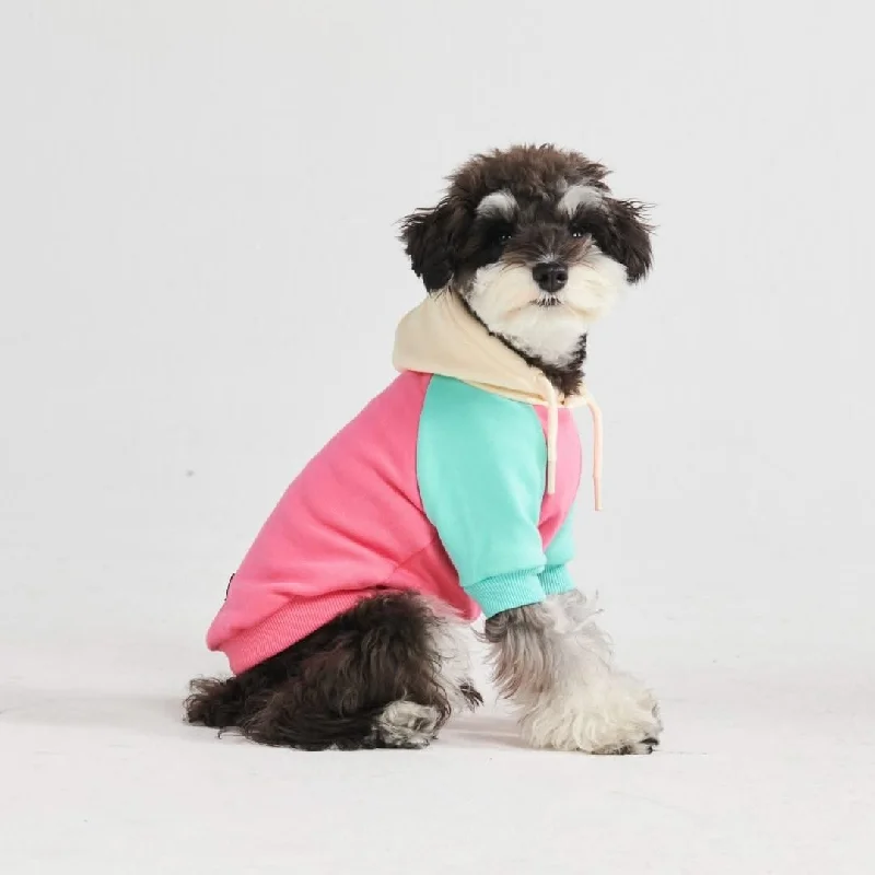 Modern Fit Hoodie-Pink Turquoise Cream Color Block Dog Hoodie