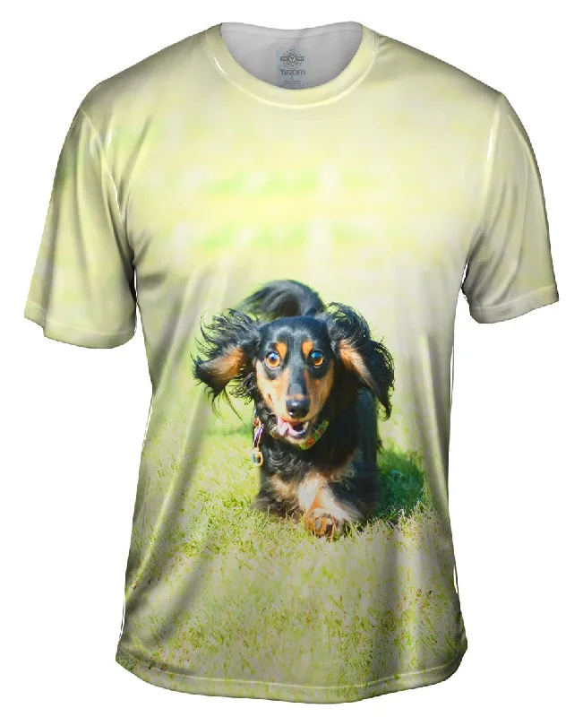 Creative T-Shirt-Dashing Dachshund