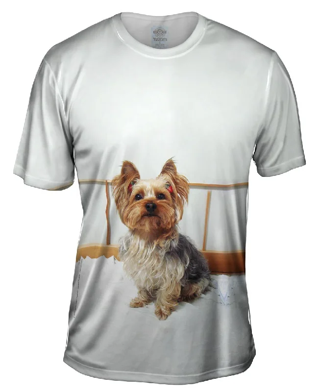 Plain T-Shirt-Fancy Yorkshire Terrier