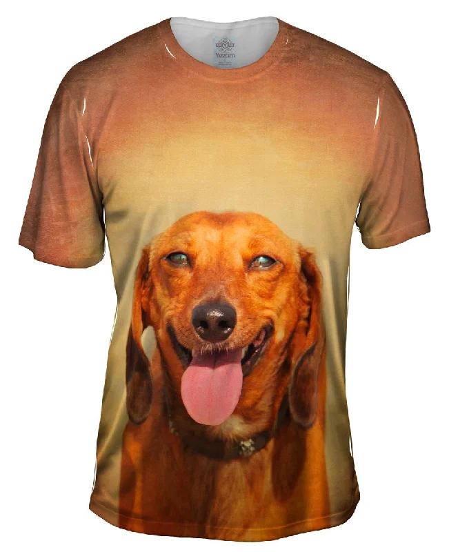 Inspirational Graphic T-Shirt-Dachshund Sunshine