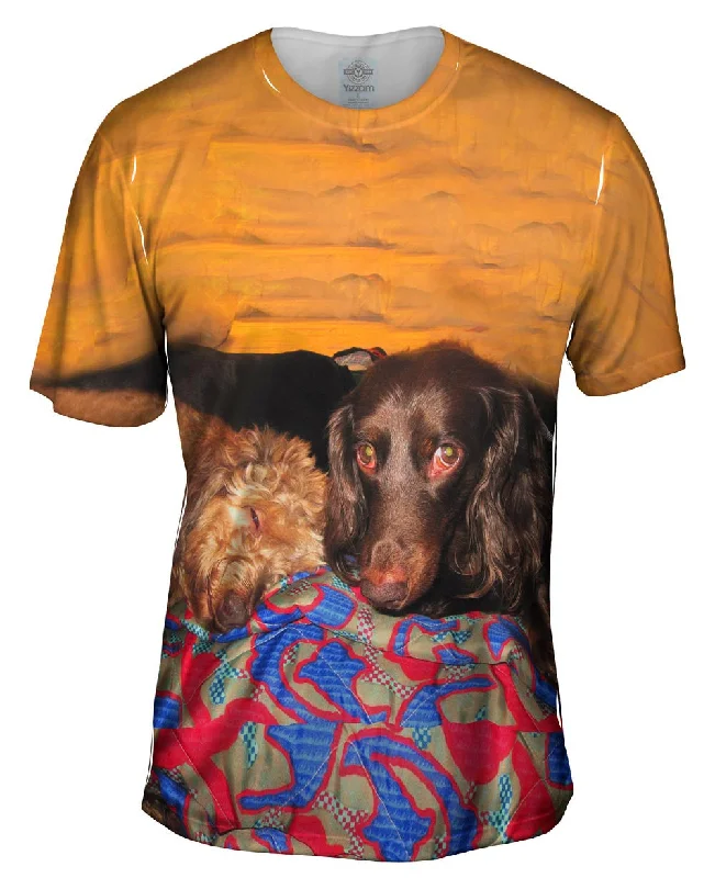 Motivational Graphic T-Shirt-Dachshund Nap Time