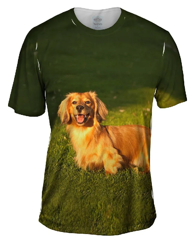 Cool Cartoon T-Shirt-Dachshund Laying Around