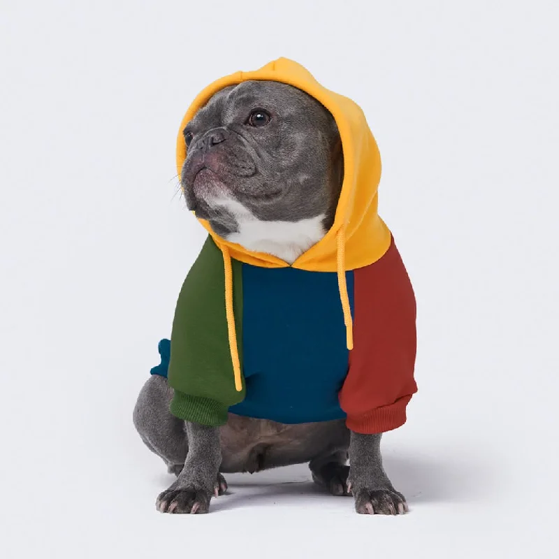 Soft Fabric Hoodie-Primary Color Block Dog Hoodie