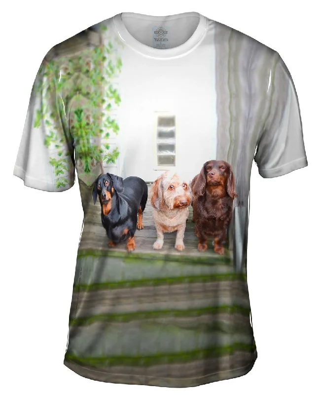 Cool Artwork T-Shirt-Dachshund Variety Pack