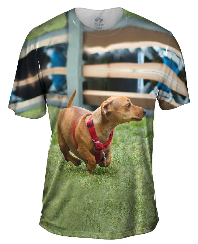 Abstract Print T-Shirt-Dachshund Sprint