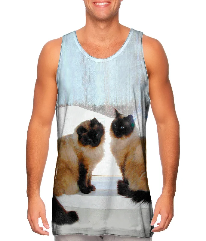 Comfortable Tank-Siamese Cats Networking