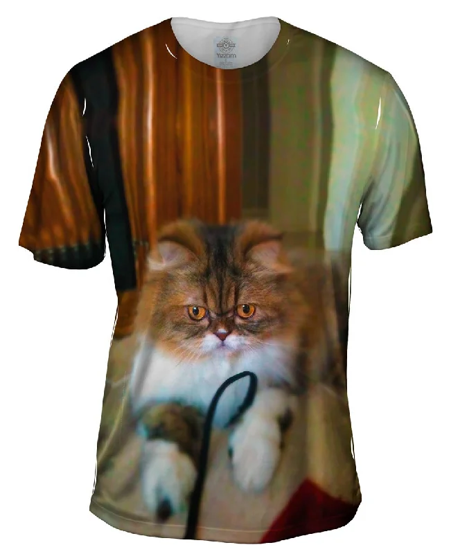 Cool Graphic T-Shirt-Fall Soft Kitty Cat