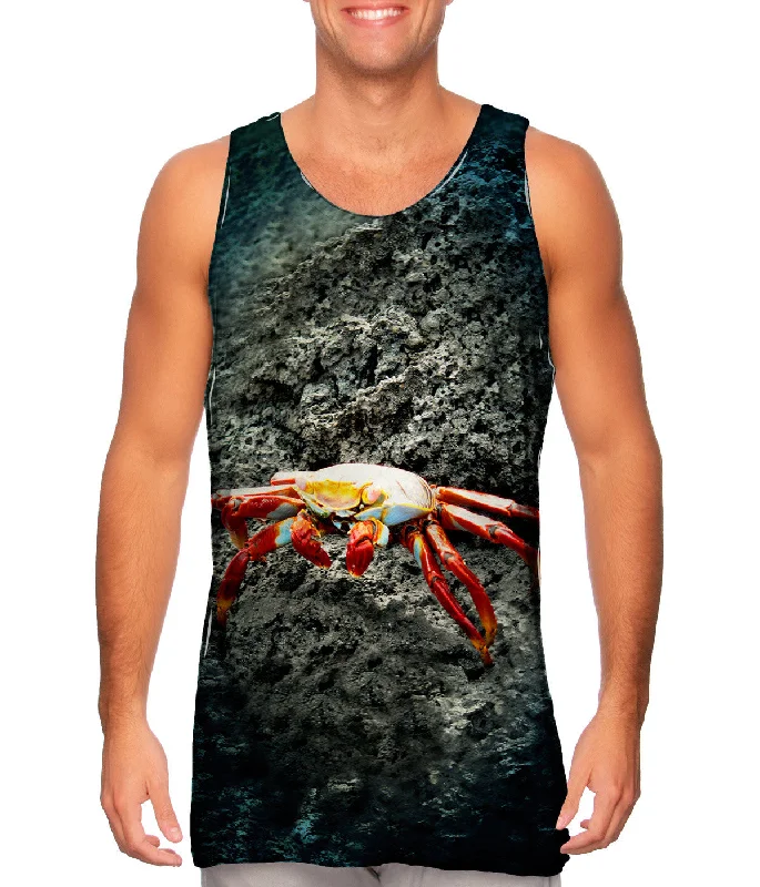 Premium Tank-Sally Lightfoot Crab