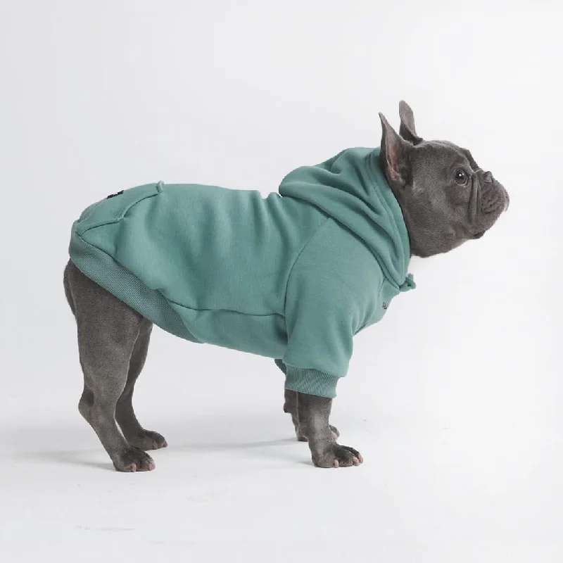 Motivational Hoodie-Essential Dog Hoodie - Teal