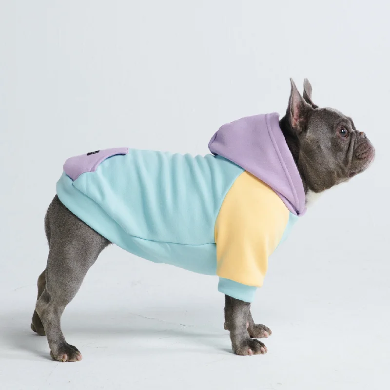 Sports Hoodie Jacket-Daydream Dog Hoodie