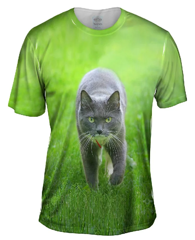 Graphic T-Shirt-Ferocious Grey Cat