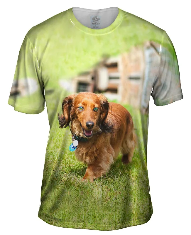 Bold Letter T-Shirt-Dachshund Surveys Backyard