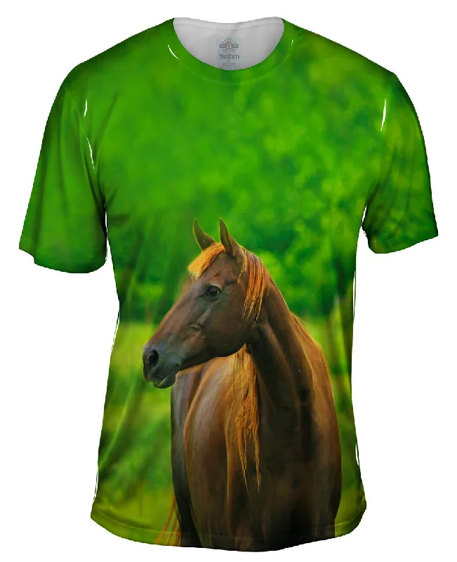 Festival T-Shirt-Decisive Horse