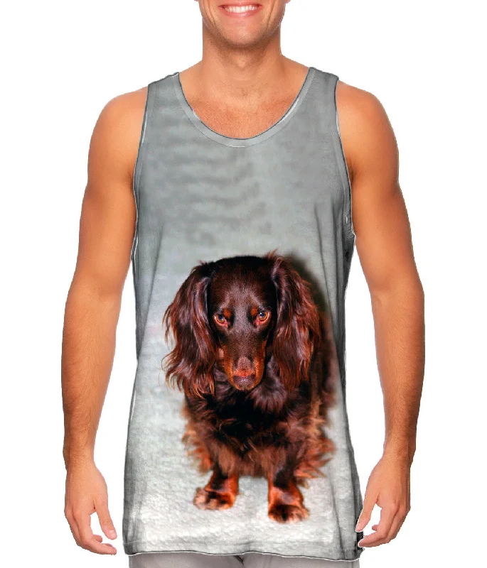 Running Vest-Shy Brown Dachshund