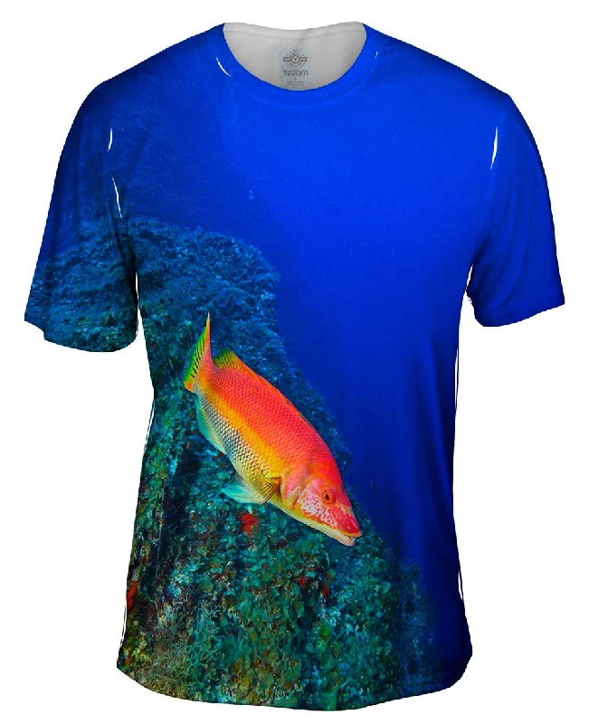 Hand-Drawn T-Shirt-El Bajon Fish Underwater